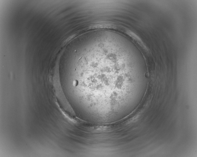 X0000068850841200605191949