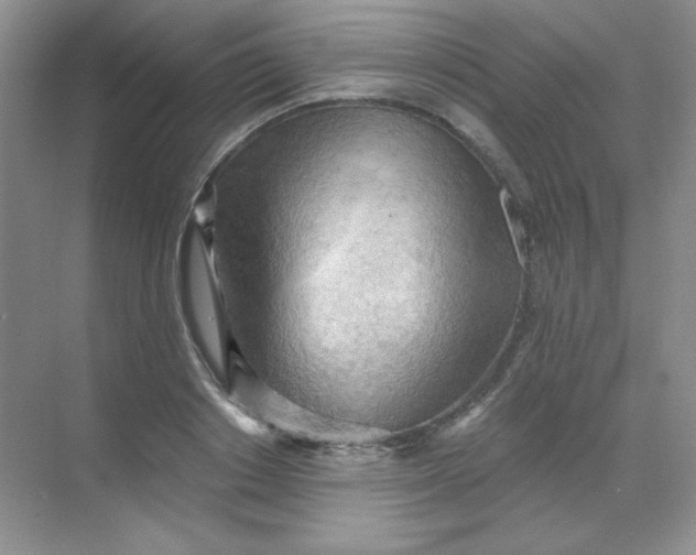 X0000068850842200605191949