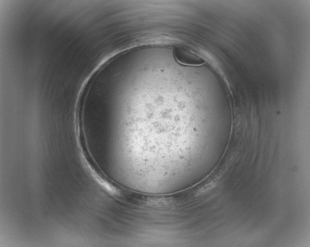 X0000068850843200605191949