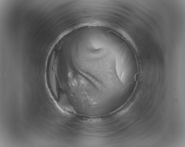 X0000068850845200605191949