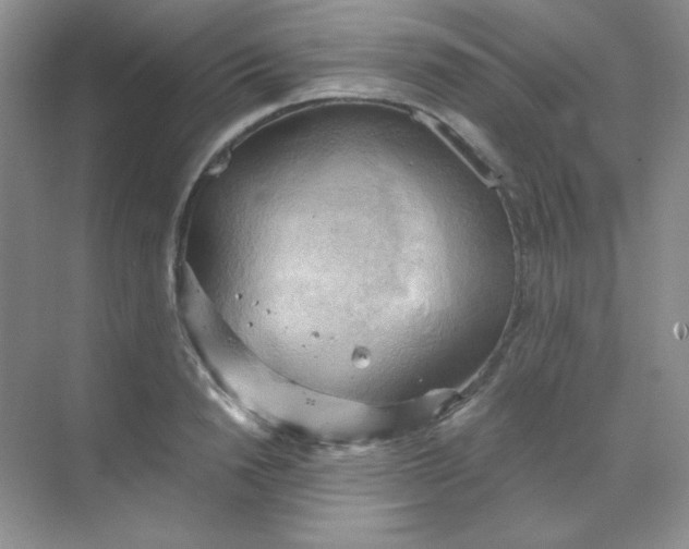 X0000068850846200605191949