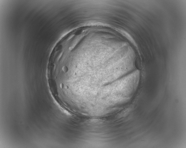 X0000068850847200605191949