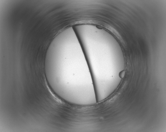 X0000068850849200605191949