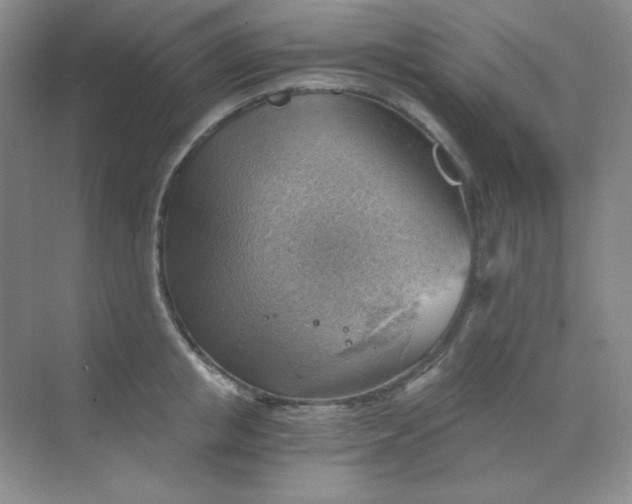 X0000068850853200605191949