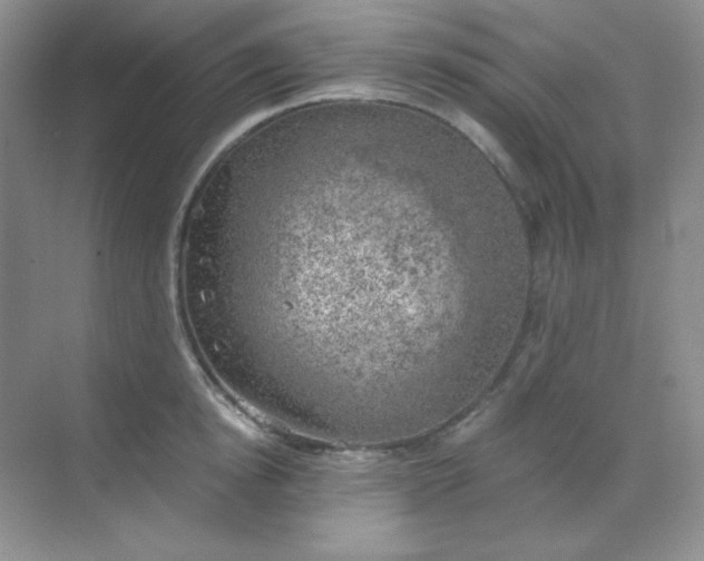 X0000068850854200605191949