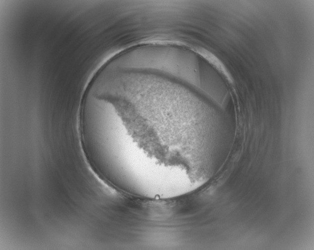 X0000068850855200605191949