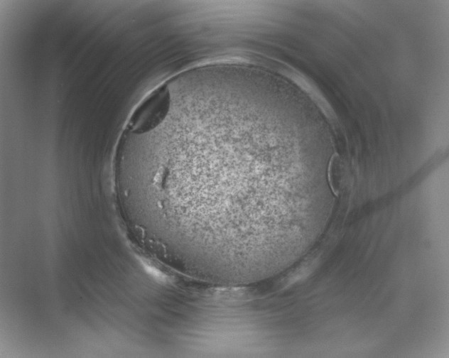 X0000068850858200605191949