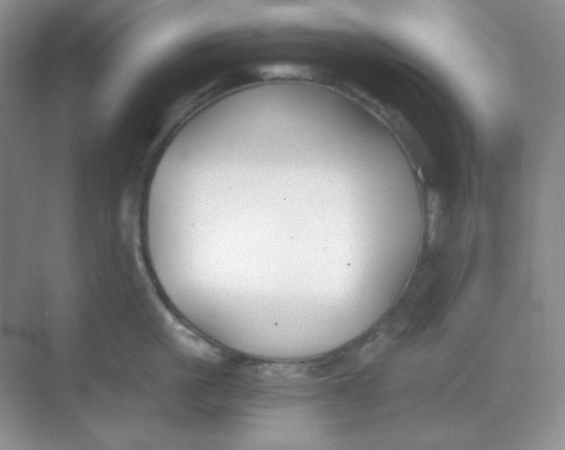 X0000068850861200605191949