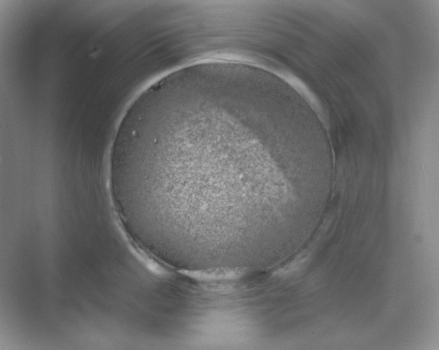 X0000068850862200605191949