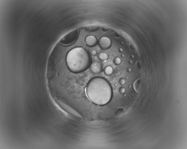 X0000068850863200605191949