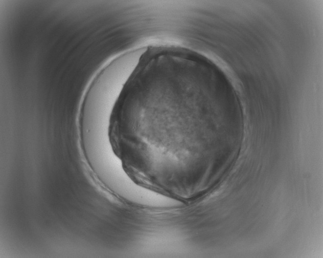 X0000068850864200605191950