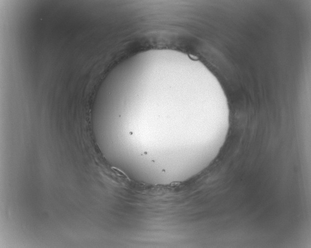 X0000068850865200605191949