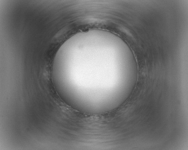 X0000068850869200605191949