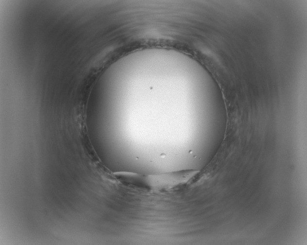 X0000068850870200605191949