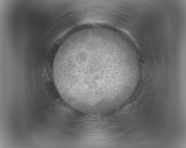 X0000068850871200605191949