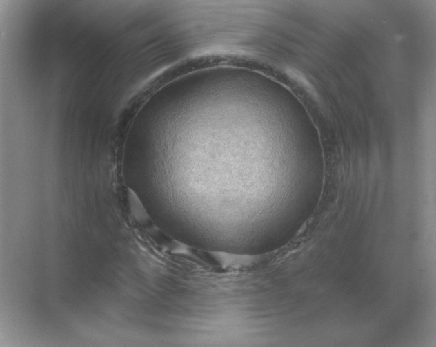 X0000068850872200605191949