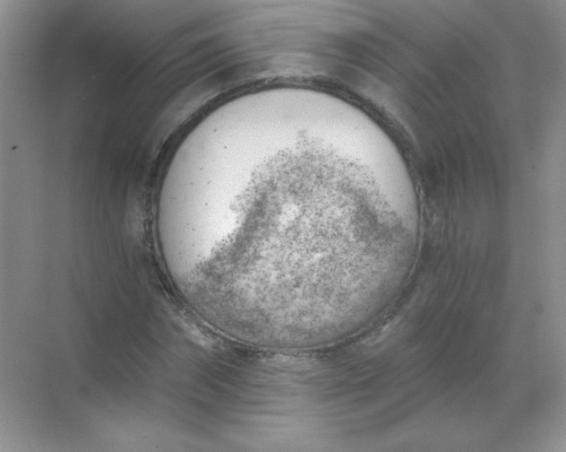 X0000068850874200605191949