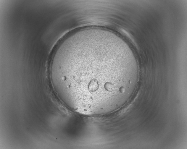 X0000068850875200605191949