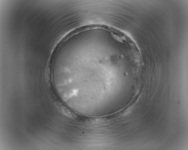 X0000068850879200605191948