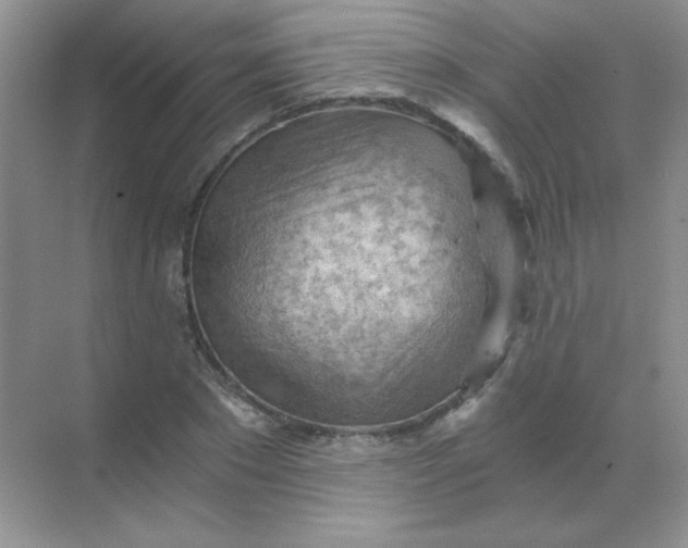 X0000068850881200605191948