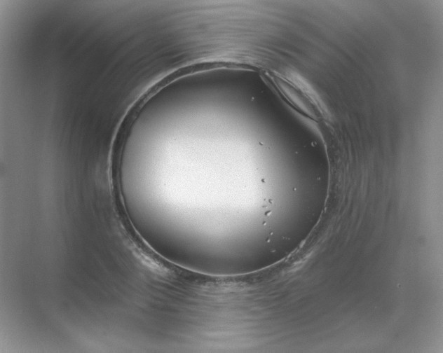 X0000068850884200605191948