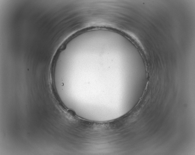 X0000068850887200605191948