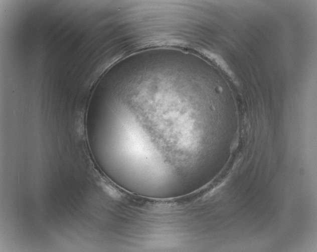 X0000068850889200605191948