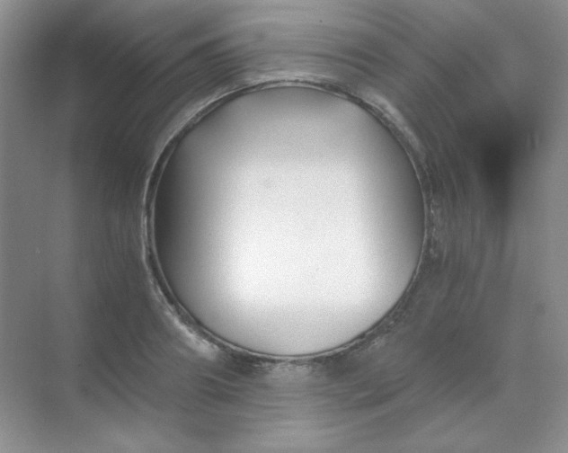 X0000068850890200605191948