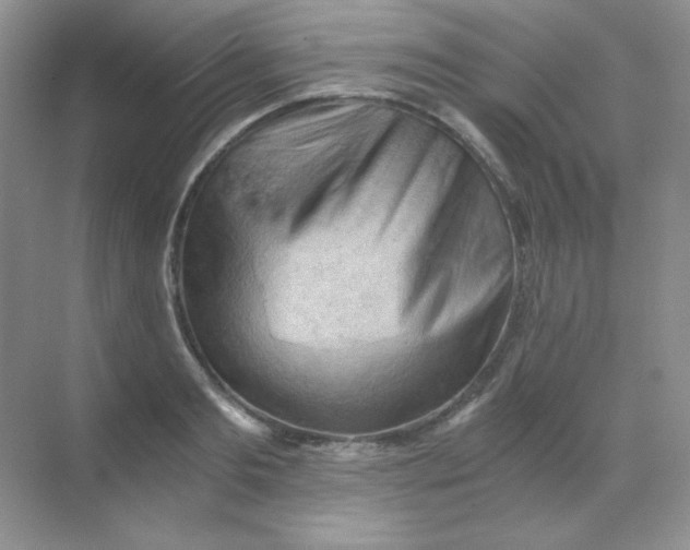 X0000068850893200605191948