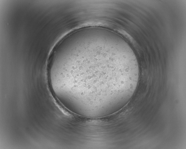 X0000068850894200605191948