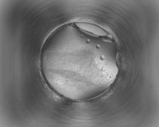 X0000068850896200605191948