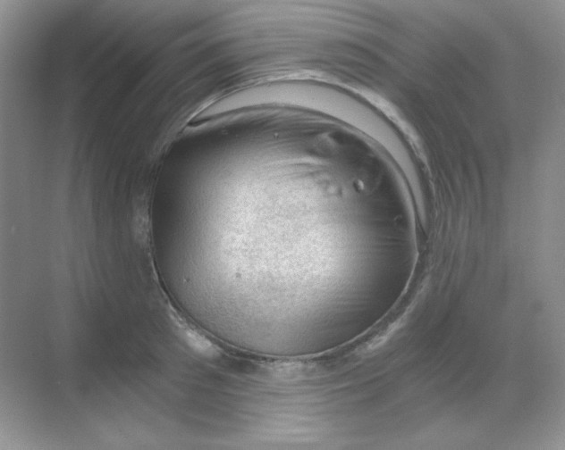 X0000068850897200605191948