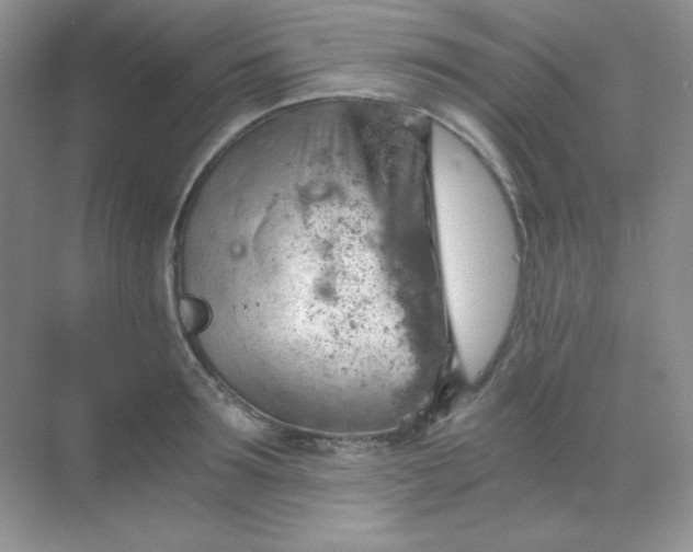 X0000068850899200605191948