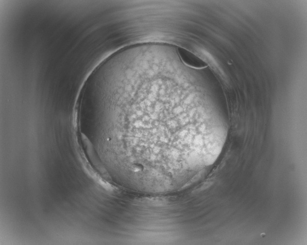 X0000068850900200605191948