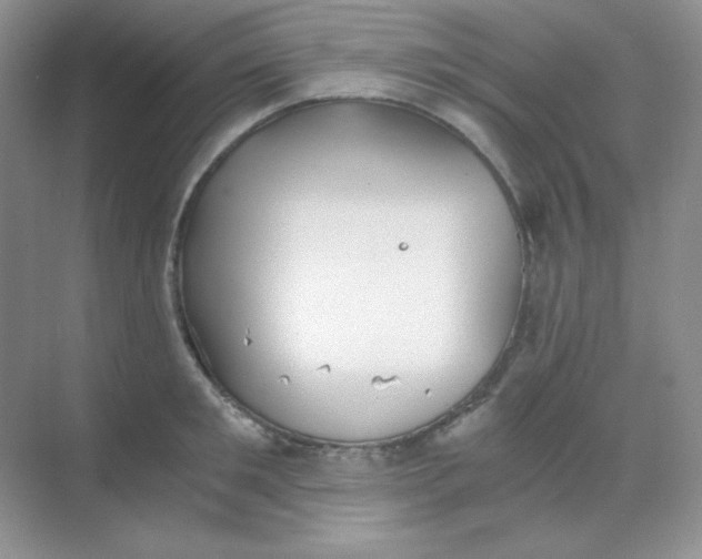 X0000068850901200605191948