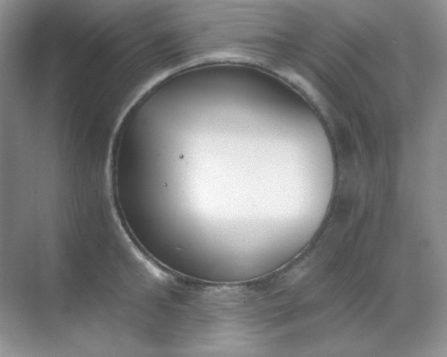 X0000068850902200605191948