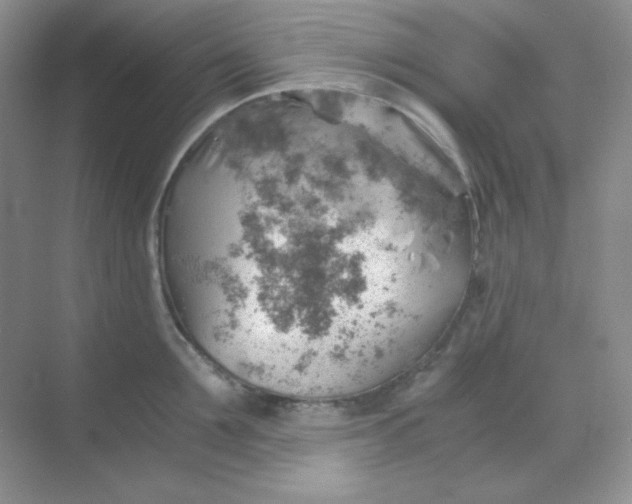 X0000068850907200605191948