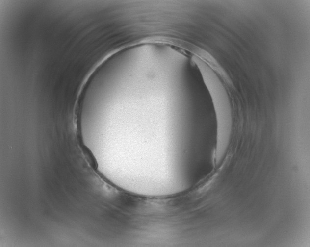 X0000068850908200605191948