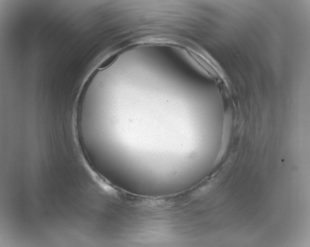 X0000068850909200605191948