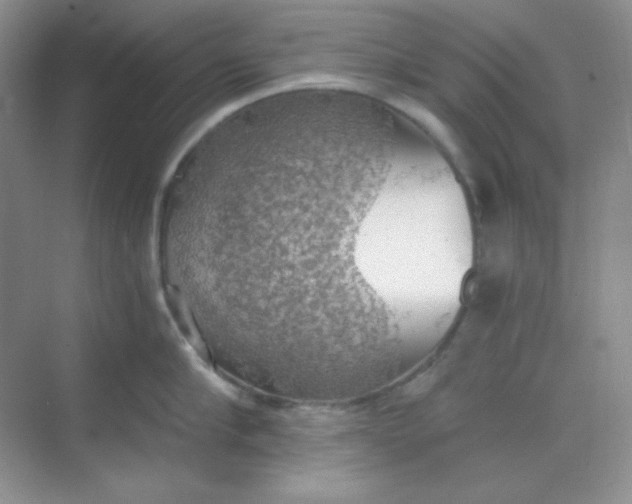 X0000068850910200605191948