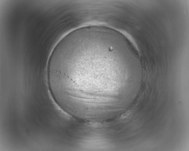 X0000068850911200605191948