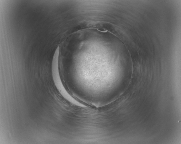 X0000068850914200605191947