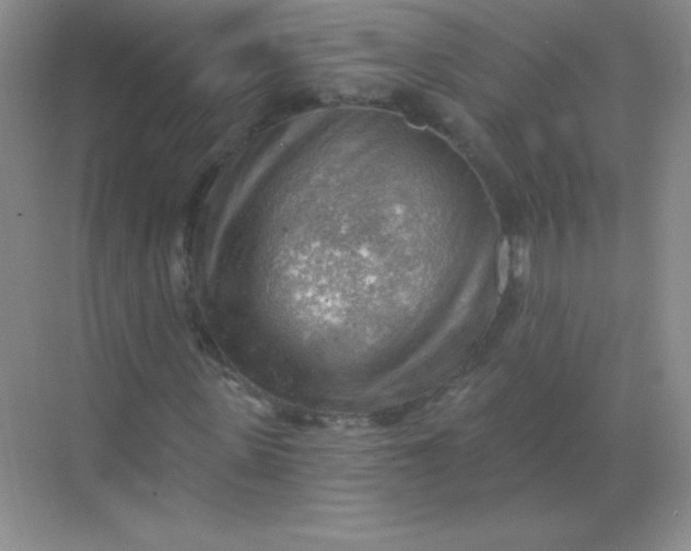 X0000068850915200605191947