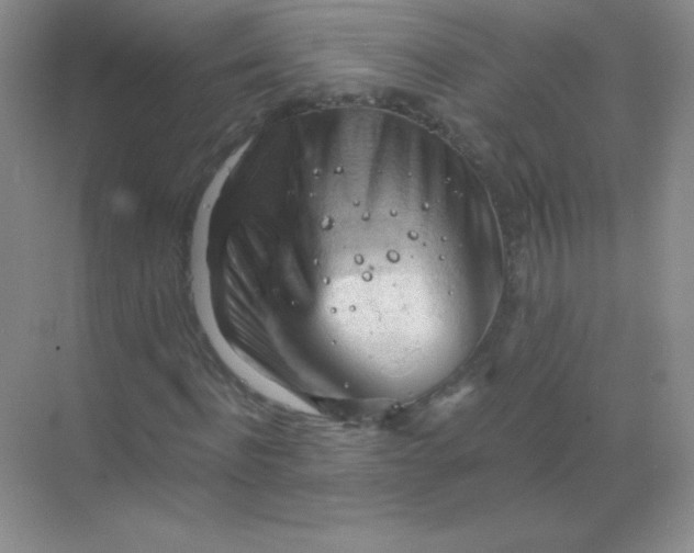 X0000068850916200605191947