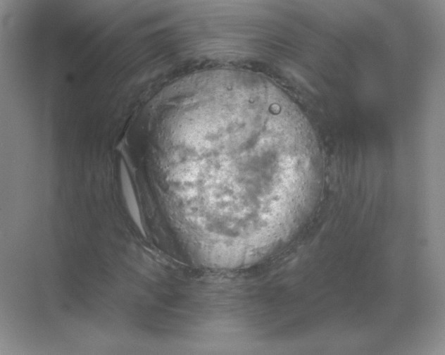 X0000068850917200605191947