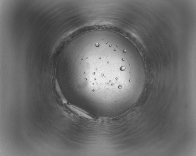 X0000068850920200605191947