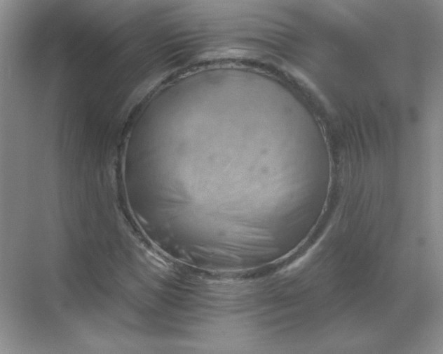 X0000068850921200605191947