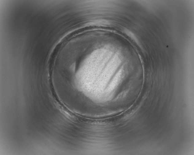 X0000068850923200605191947