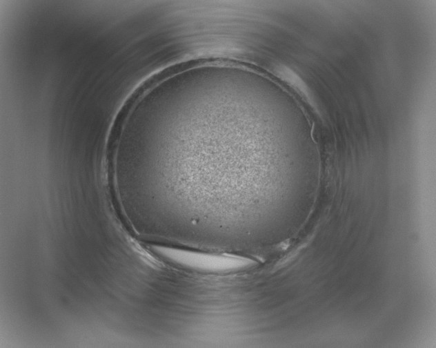 X0000068850924200605191947