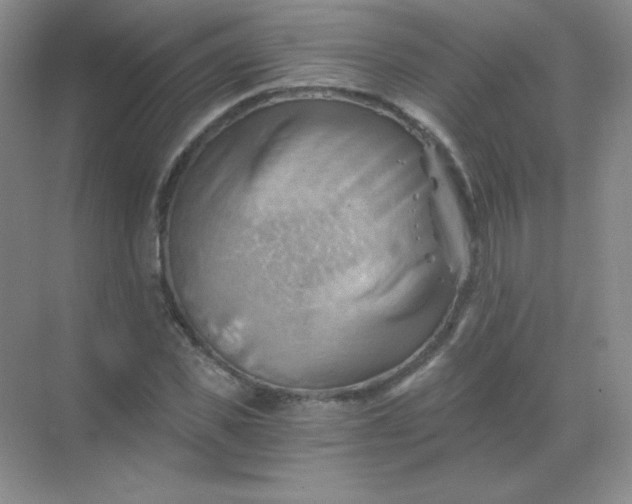 X0000068850925200605191947